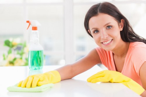 Professional deep cleaning team working in a Carlisle home