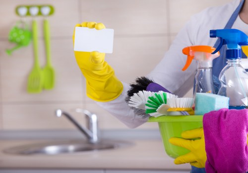 Professional deep cleaning services in Revesby