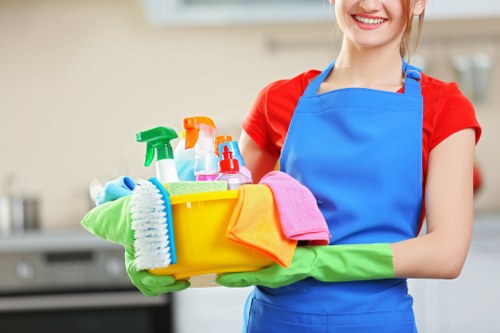 Eco-friendly cleaning supplies used for deep cleaning