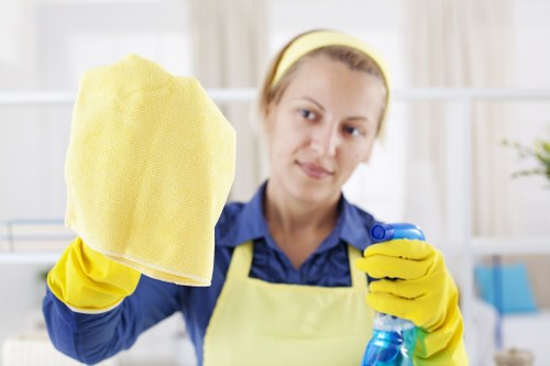 Professionals performing deep cleaning in a Balwyn North home