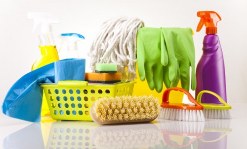 Eco-friendly deep cleaning products used in Doolandella