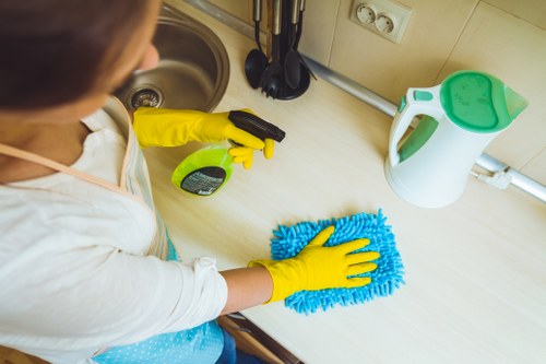 Eco-friendly cleaning products being used