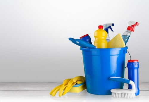 Professional deep cleaning service transforming a Narraweena home