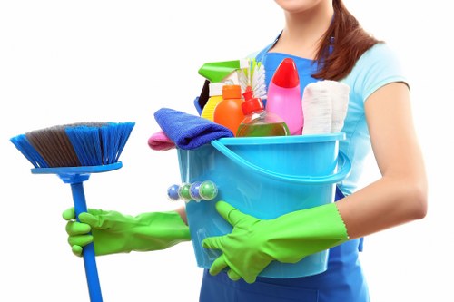 Deep cleaning team ensuring spotless interiors in Balwyn North