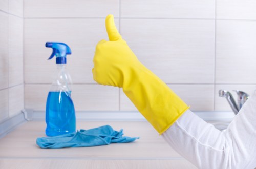 Healthy and spotless kitchen after deep cleaning