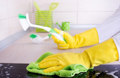 Professional cleaning equipment for deep cleaning