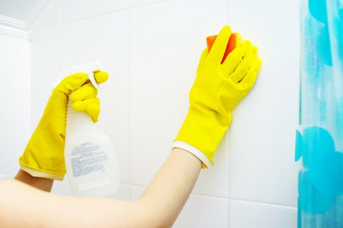 Professional cleaning services in Artarmon