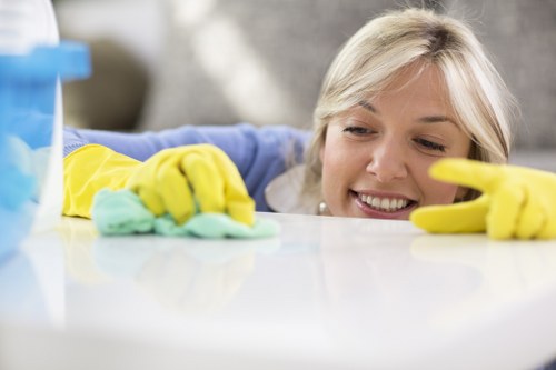 Eco-friendly cleaning products used in Hawthorn deep cleaning