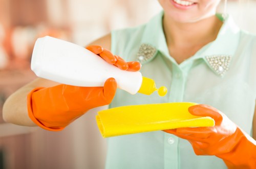 Deep cleaning team working on living area