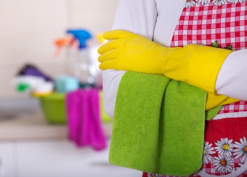 Deep cleaning professionals working in Doolandella living room