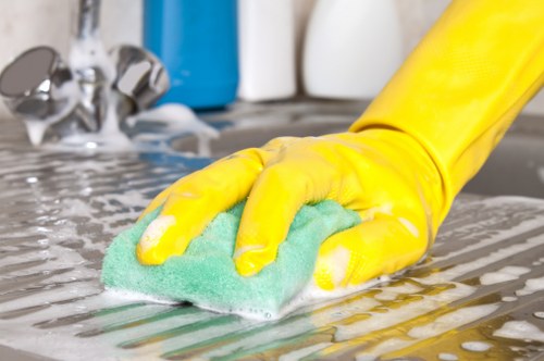 Clean and sanitized home environment