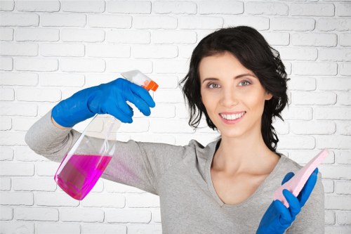 Eco-friendly cleaning products for deep cleaning