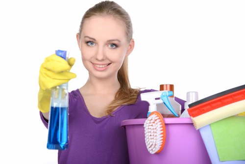 Eco-friendly cleaning products used by professionals