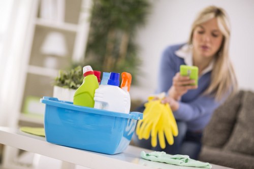 Eco-friendly cleaning products used by professionals