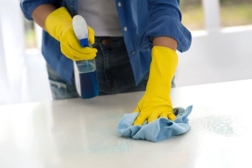 Kitchen deep cleaning in Holland Park home