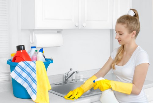 Eco-friendly cleaning products used by professionals