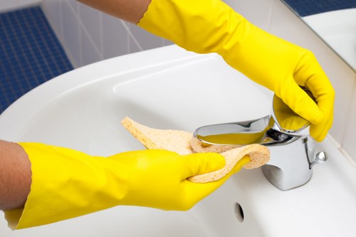 Eco-friendly cleaning products on a shelf