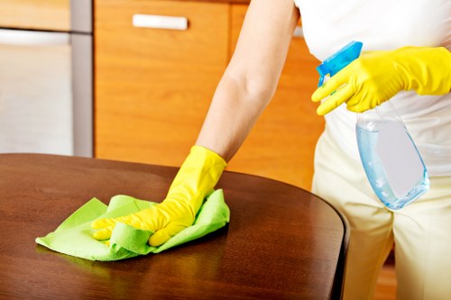 Thorough kitchen cleaning by experts